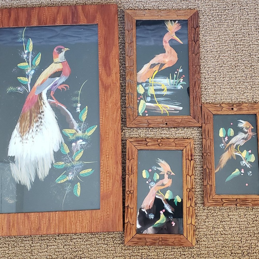 Vintage hand painted birds with real feathers in hand carved frames.